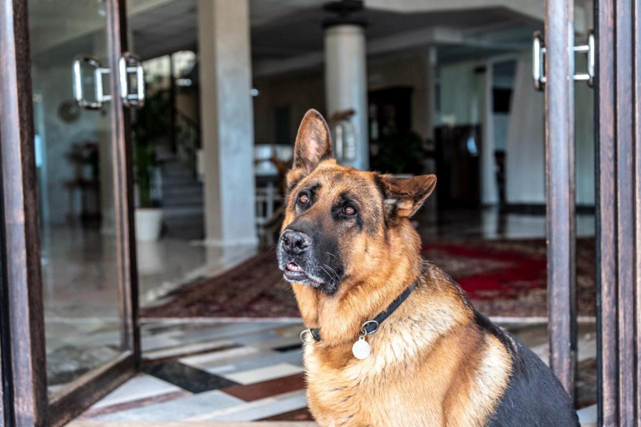 Fantinello Hotel Каорле Экстерьер фото